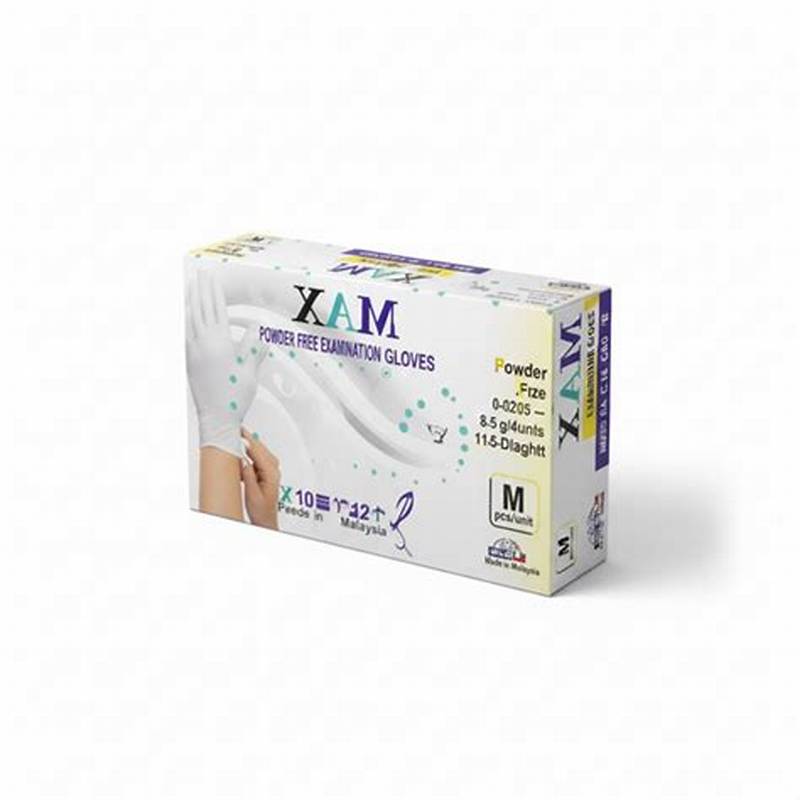 XL Latex Gloves